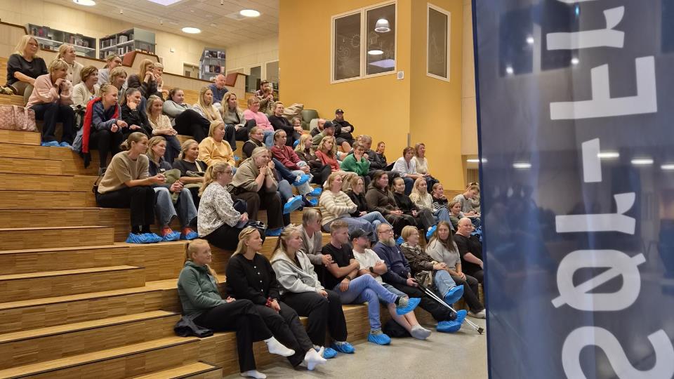 Lenke til artikkel: Skolebesøk til Sør-Fron